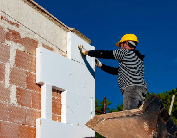 Best Insulation Repair Services  in Romulus, MI