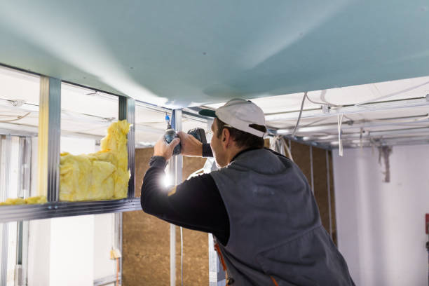 Best Soundproof Insulation Installation  in Romulus, MI