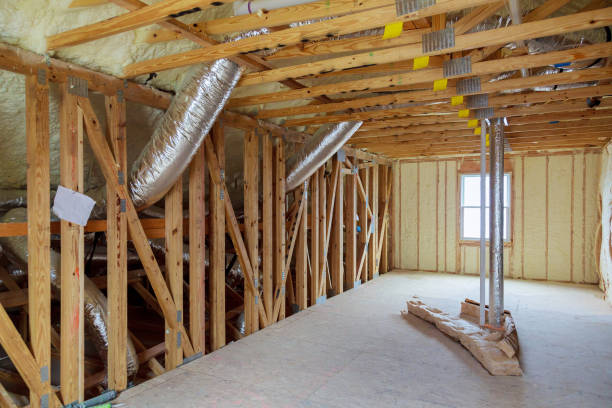 Best Insulation Removal  in Romulus, MI