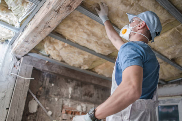 Best Best Insulation Companies  in Romulus, MI