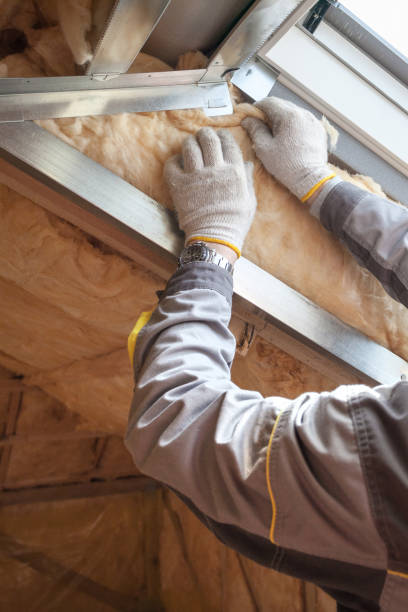 Best Insulation Replacement Services  in Romulus, MI