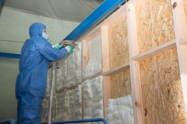 Best Fiberglass Insulation  in Romulus, MI