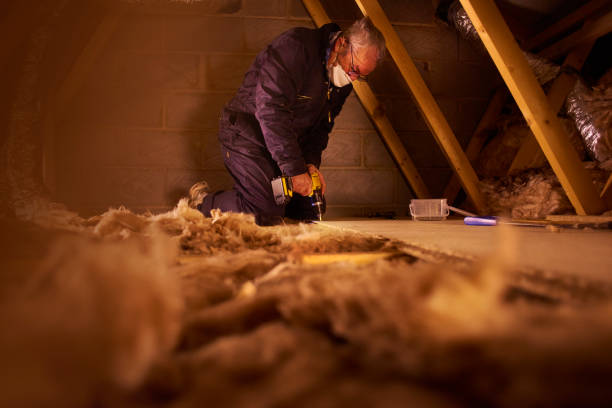 Best Fiberglass Insulation  in Romulus, MI